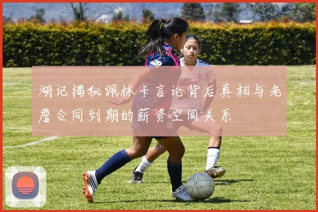 湖记揭秘佩林卡言论背后真相与老詹合同到期的薪资空间关系